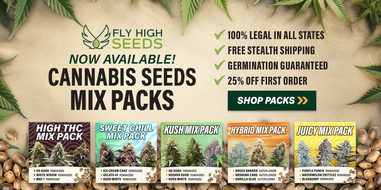 hero image with cannabis seed packs on front